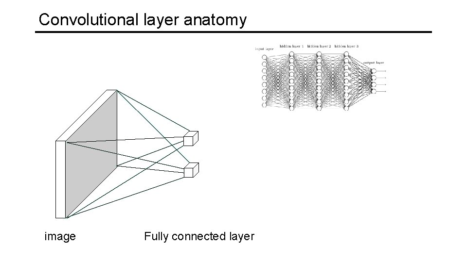 Convolutional layer anatomy image Fully connected layer 