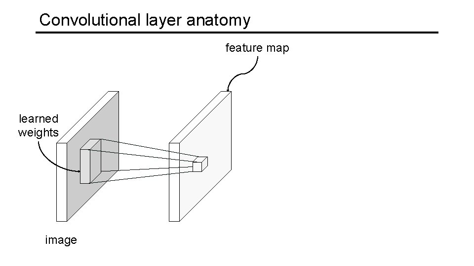 Convolutional layer anatomy feature map learned weights image 