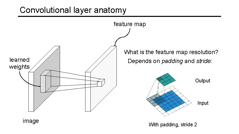 Convolutional layer anatomy feature map What is the feature map resolution? learned weights Depends