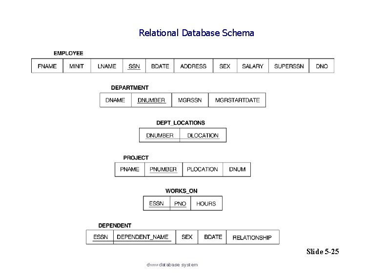 Relational Database Schema Slide 5 -25 dww-database system 