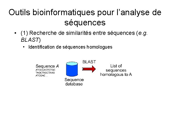 Outils bioinformatiques pour l’analyse de séquences • (1) Recherche de similarités entre séquences (e.