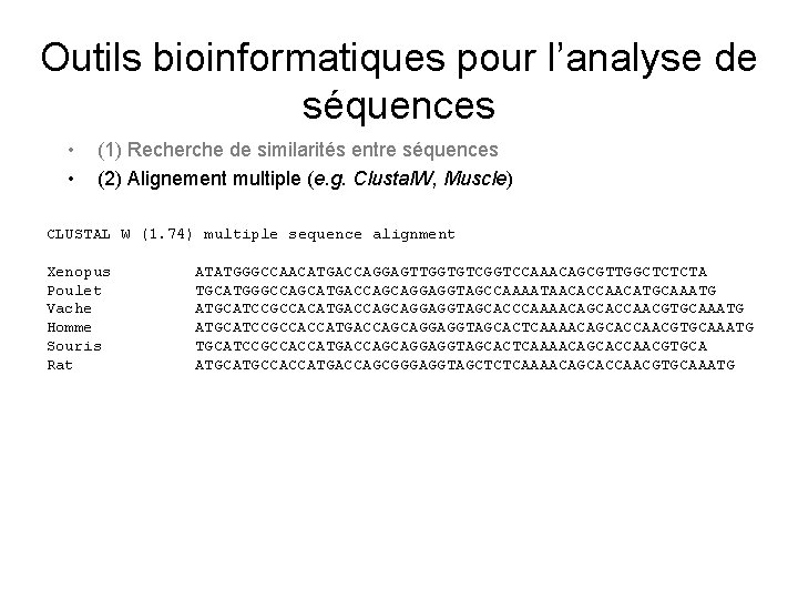 Outils bioinformatiques pour l’analyse de séquences • • (1) Recherche de similarités entre séquences