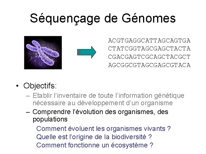 Séquençage de Génomes ACGTGAGGCATTAGCAGTGA CTATCGGTAGCGAGCTACTA CGACGAGTCGCAGCTACGCT AGCGGCGTAGCGTACA • Objectifs: – Etablir l’inventaire de toute