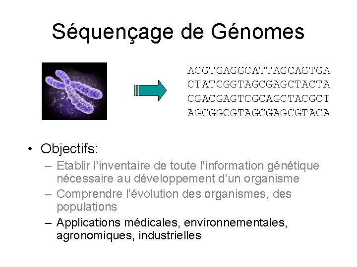 Séquençage de Génomes ACGTGAGGCATTAGCAGTGA CTATCGGTAGCGAGCTACTA CGACGAGTCGCAGCTACGCT AGCGGCGTAGCGTACA • Objectifs: – Etablir l’inventaire de toute