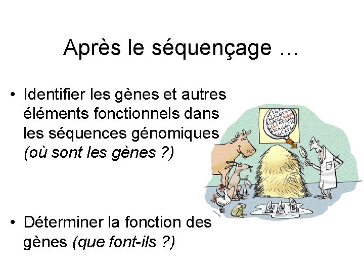 Après le séquençage … • Identifier les gènes et autres éléments fonctionnels dans les