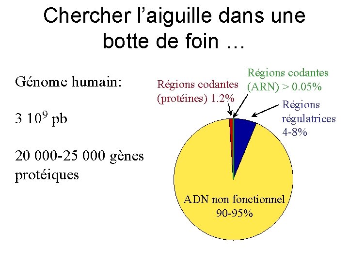 Chercher l’aiguille dans une botte de foin … Génome humain: 3 109 pb Régions