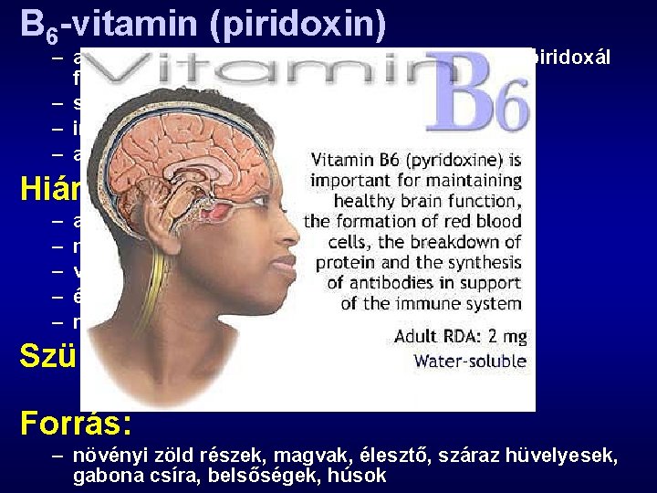 B 6 -vitamin (piridoxin) – aminosavak dekarboxilezése, transzaminálása (piridoxál foszfát) – szénhidrát- és zsír-anyagcsere