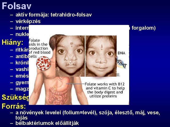 Folsav – – aktív formája: tetrahidro-folsav vérképzés intermedier anyagcsere (glicin, purin, hisztidin forgalom) nukleinsav