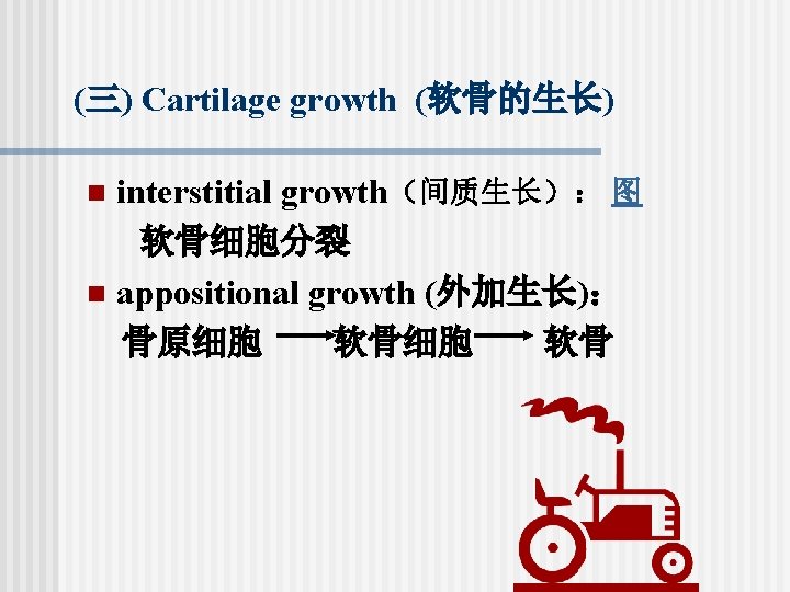 (三) Cartilage growth (软骨的生长) interstitial growth（间质生长）： 图 软骨细胞分裂 n appositional growth (外加生长)： 骨原细胞 软骨