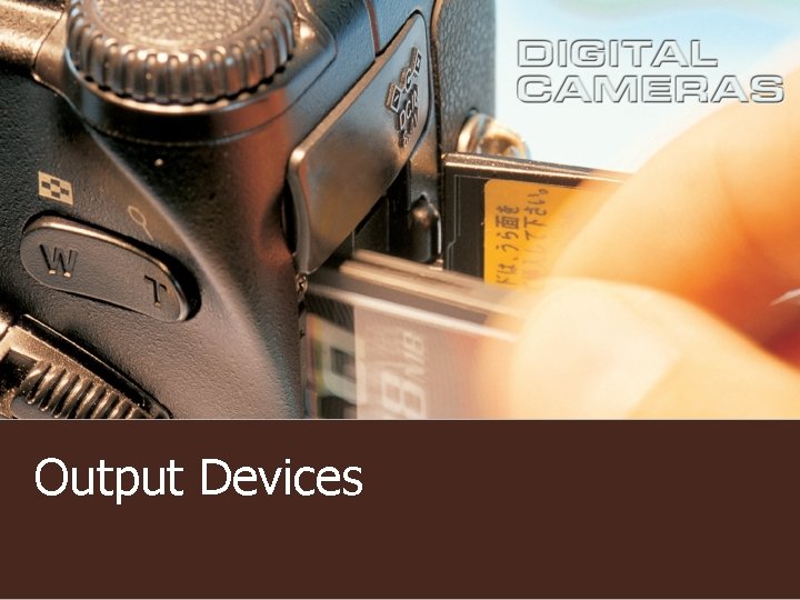 Output Devices 
