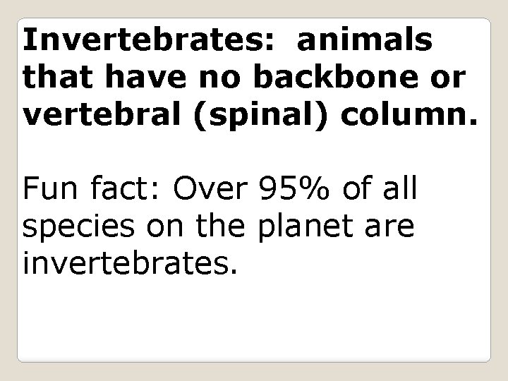 Invertebrates: animals that have no backbone or vertebral (spinal) column. Fun fact: Over 95%
