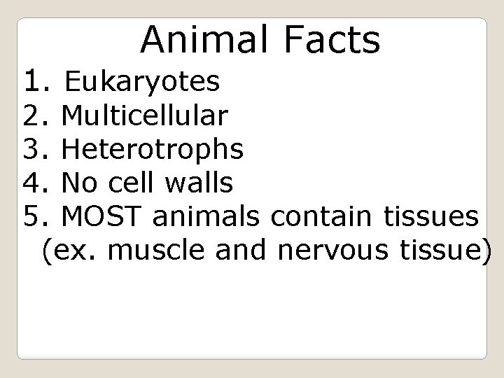 Animal Facts 1. Eukaryotes 2. Multicellular 3. Heterotrophs 4. No cell walls 5. MOST