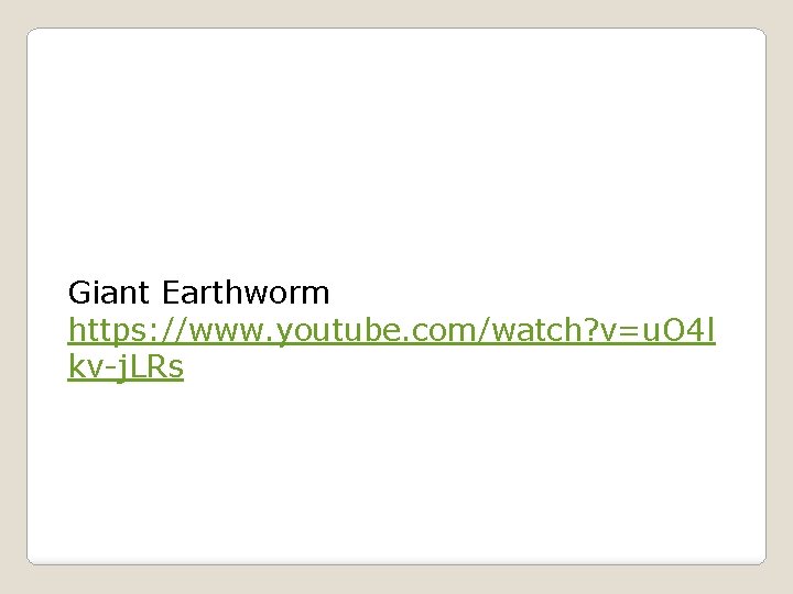 Giant Earthworm https: //www. youtube. com/watch? v=u. O 4 l kv-j. LRs 