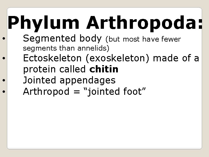 Phylum Arthropoda: • Segmented body • Ectoskeleton (exoskeleton) made of a protein called chitin