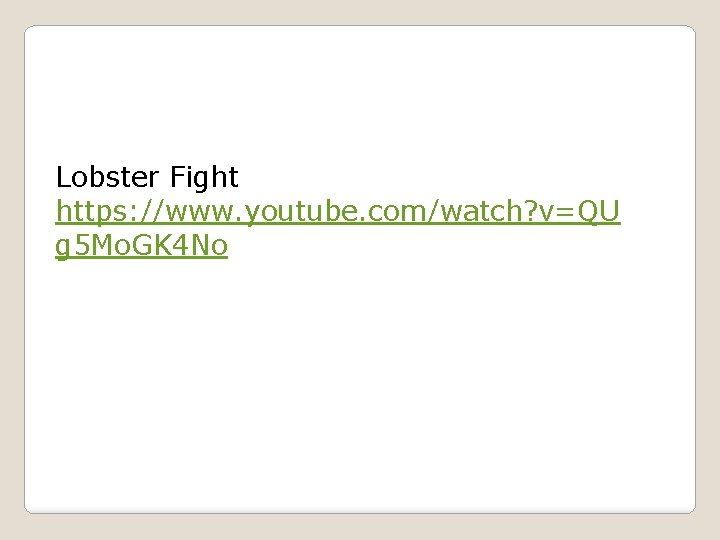 Lobster Fight https: //www. youtube. com/watch? v=QU g 5 Mo. GK 4 No 