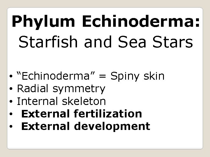 Phylum Echinoderma: Starfish and Sea Stars • • • “Echinoderma” = Spiny skin Radial