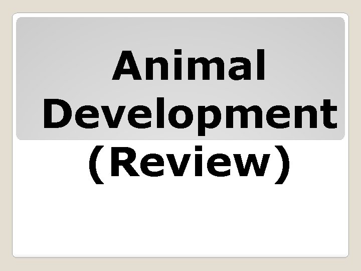 Animal Development (Review) 