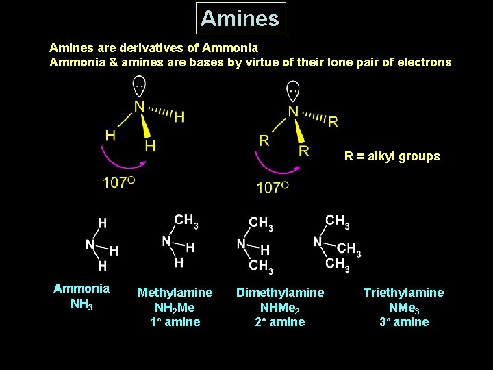 Amines are derivatives of Ammonia & amines are bases by virtue of their lone
