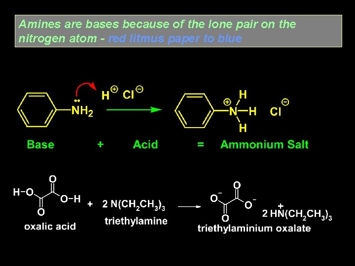 Amines are bases because of the lone pair on the nitrogen atom - red