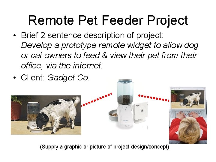 Remote Pet Feeder Project • Brief 2 sentence description of project: Develop a prototype