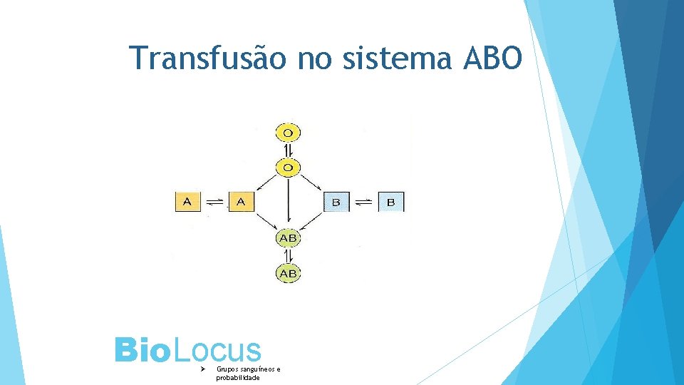 Transfusão no sistema ABO Bio. Locus Ø Grupos sanguíneos e probabilidade 