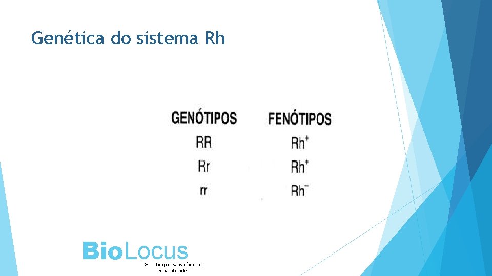 Genética do sistema Rh Bio. Locus Ø Grupos sanguíneos e probabilidade 