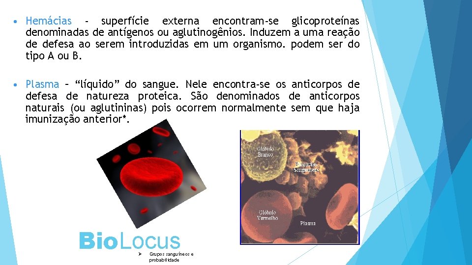  • Hemácias - superfície externa encontram-se glicoproteínas denominadas de antígenos ou aglutinogênios. Induzem