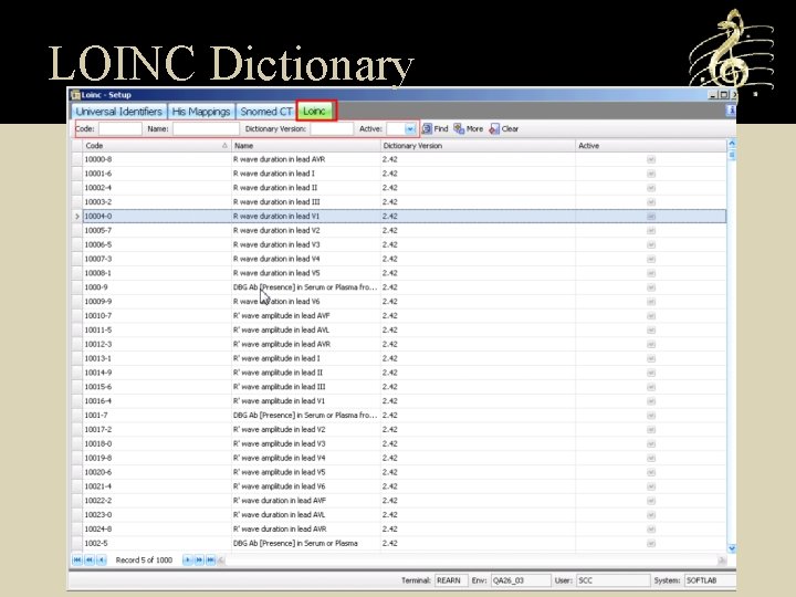 LOINC Dictionary 