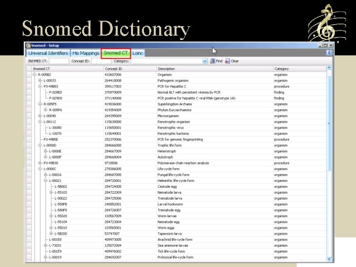 Snomed Dictionary 