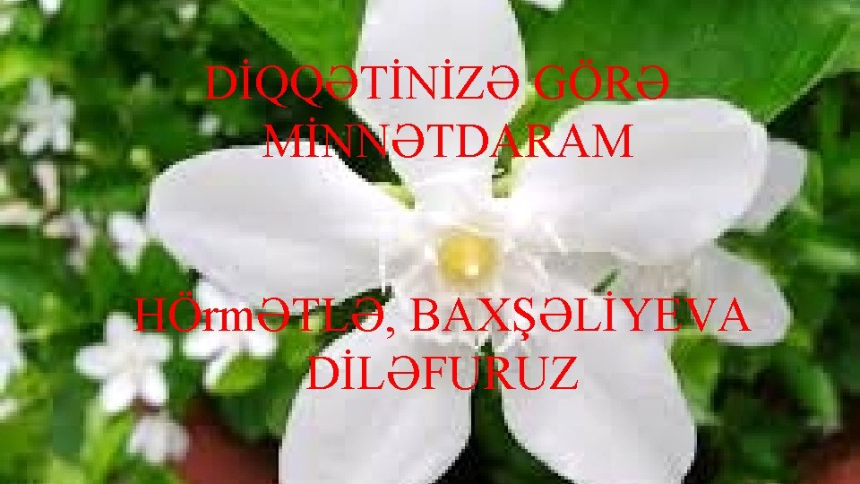 DİQQƏTİNİZƏ GÖRƏ MİNNƏTDARAM HÖrmƏTLƏ, BAXŞƏLİYEVA DİLƏFURUZ 