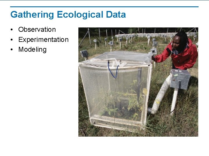 Gathering Ecological Data • Observation • Experimentation • Modeling 