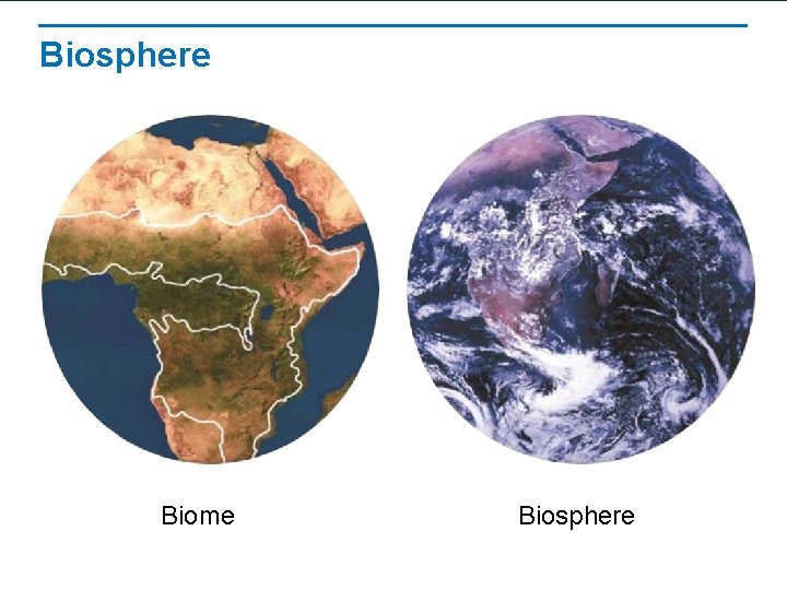 Biosphere Biome Biosphere 