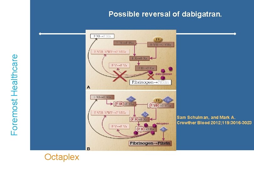 Foremost Healthcare Possible reversal of dabigatran. Sam Schulman, and Mark A. Crowther Blood 2012;