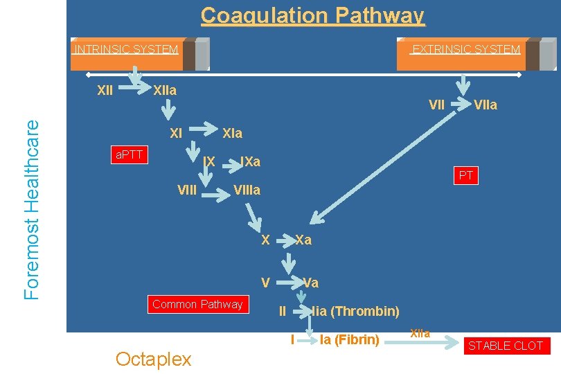 Coagulation Pathway INTRINSIC SYSTEM Foremost Healthcare XII EXTRINSIC SYSTEM XIIa VII XI a. PTT