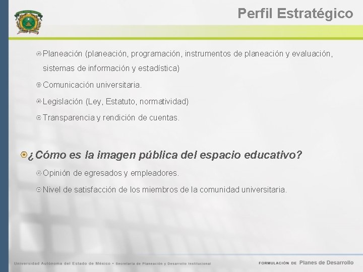 Perfil Estratégico Planeación (planeación, programación, instrumentos de planeación y evaluación, sistemas de información y