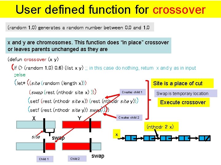 User defined function for crossover (random 1. 0) generates a random number between 0.