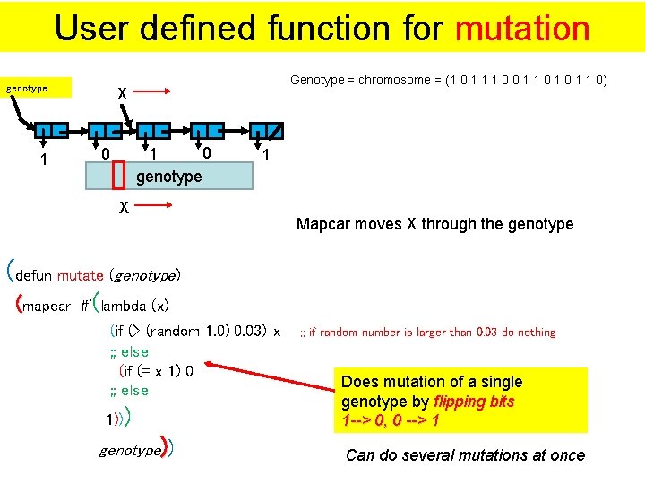 User defined function for mutation genotype 1 Genotype = chromosome = (1 0 1