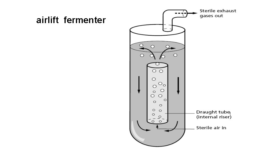 airlift fermenter 