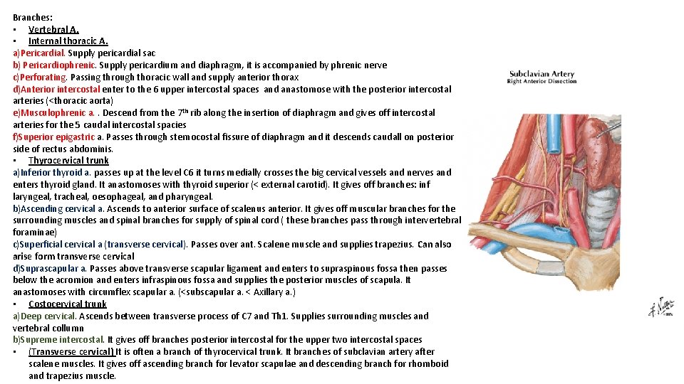 Branches: • Vertebral A. • Internal thoracic A. a)Pericardial. Supply pericardial sac b) Pericardiophrenic.