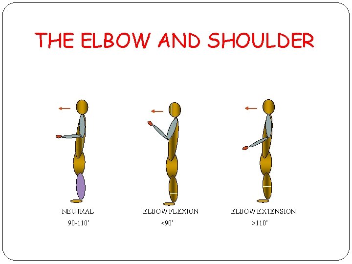 THE ELBOW AND SHOULDER NEUTRAL 90 -110’ ELBOW FLEXION <90’ ELBOW EXTENSION >110’ 