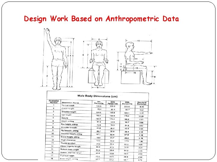 Design Work Based on Anthropometric Data 