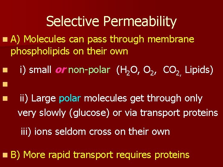 Selective Permeability n A) Molecules can pass through membrane phospholipids on their own n