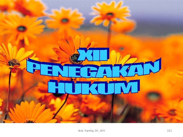 Arie Kartika, SH. , MH 181 