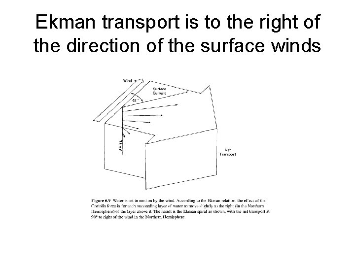 Ekman transport is to the right of the direction of the surface winds 