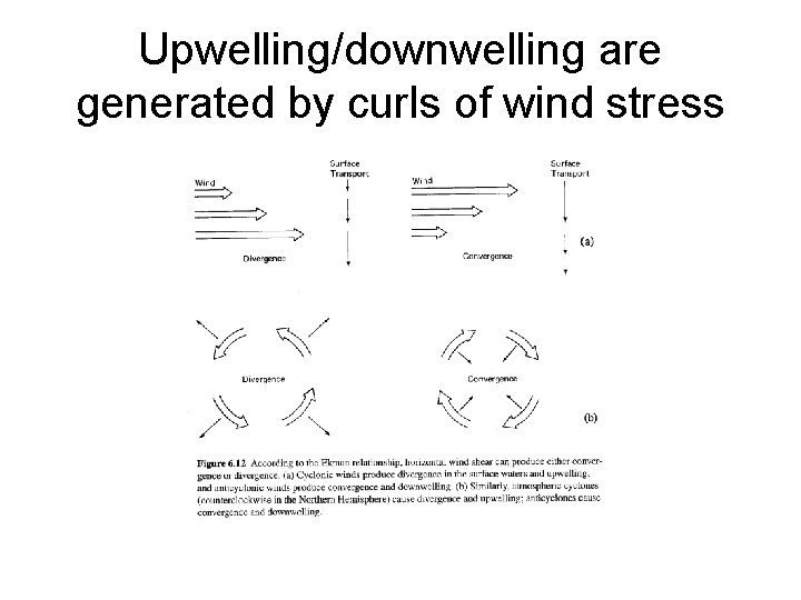 Upwelling/downwelling are generated by curls of wind stress 