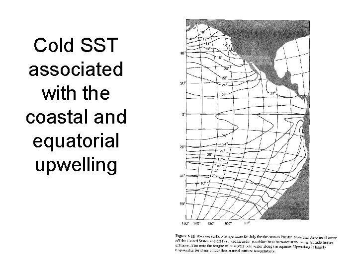 Cold SST associated with the coastal and equatorial upwelling 