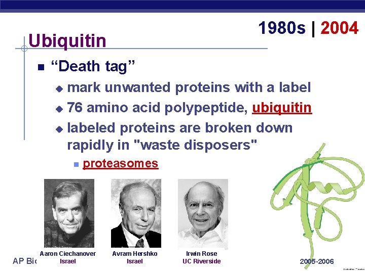 1980 s | 2004 Ubiquitin “Death tag” mark unwanted proteins with a label u