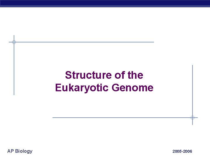 Structure of the Eukaryotic Genome AP Biology 2005 -2006 