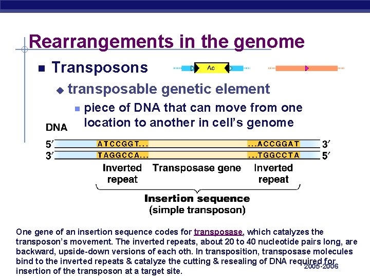 Rearrangements in the genome Transposons u transposable genetic element piece of DNA that can