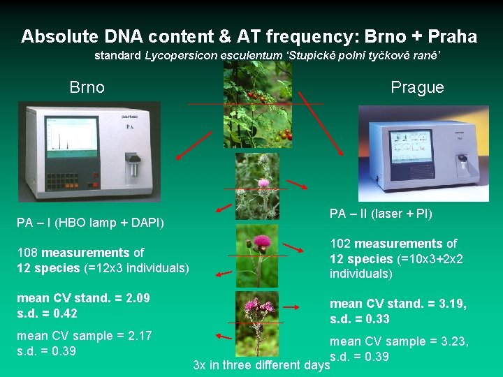 Absolute DNA content & AT frequency: Brno + Praha standard Lycopersicon esculentum ‘Stupické polní